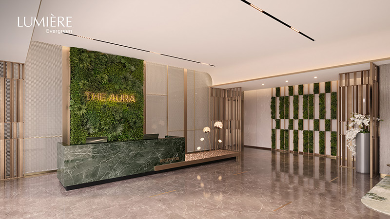 the-aura-lumière-evergreen