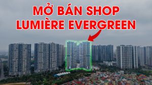 mo ban shop lumière evergreen